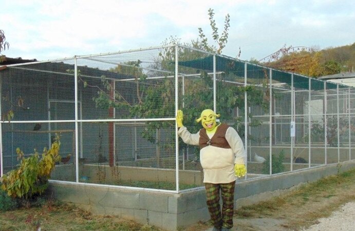 Újdonságok az őszi szünetben