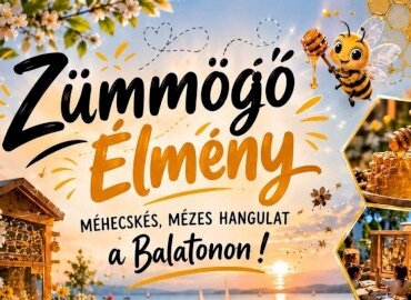 Új szolgáltatás Balatonföldváron!