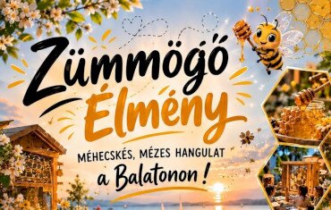 Új szolgáltatás Balatonföldváron!