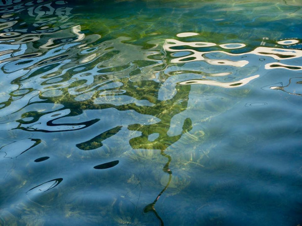 Vendégünk Szőke György grafikusművész