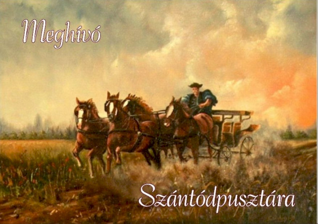 XIV. Megyei Bajnoki "C" kategóriás Kettesfogathajtó Verseny Szántódpusztán