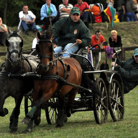 XXIII. Kettesfogathajtó verseny Balatonszárszón