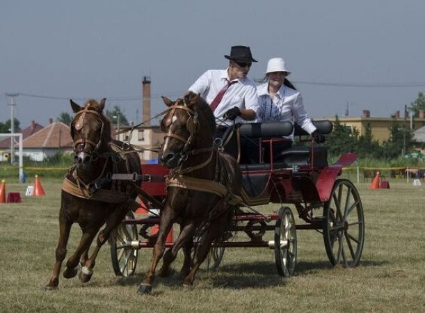 XXII. Kettesfogathajtó Verseny Balatonszárszón