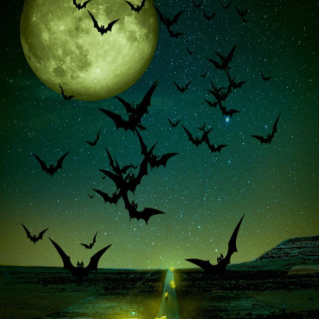 Zseblámpás szellem- és denevérvadászat Balatonlellén